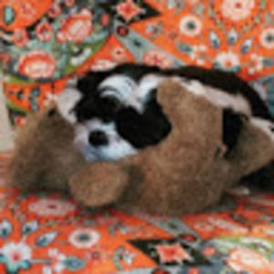 Meet your Posher, Amelia